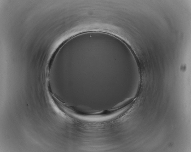 X0000090761515200707201453