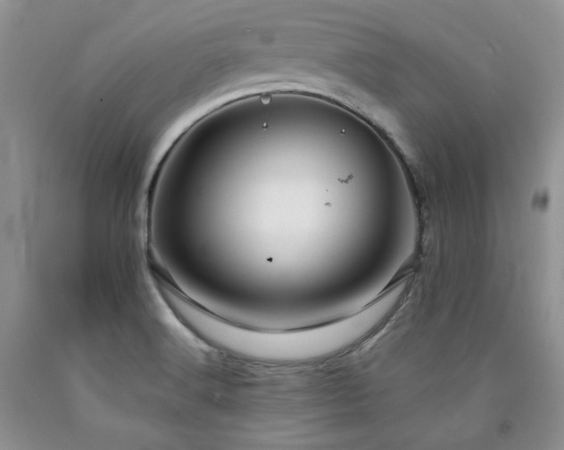 X0000090761516200707201453