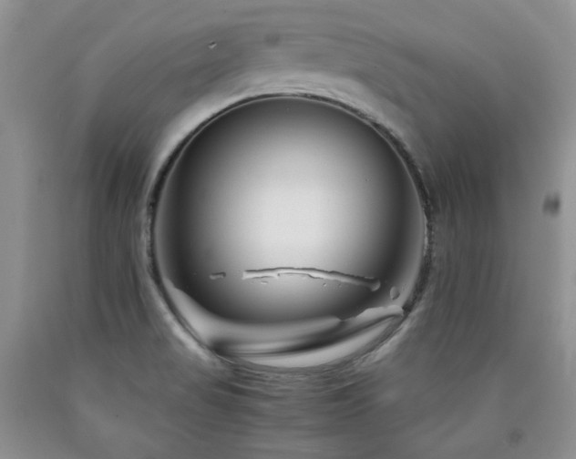 X0000090761517200707201453