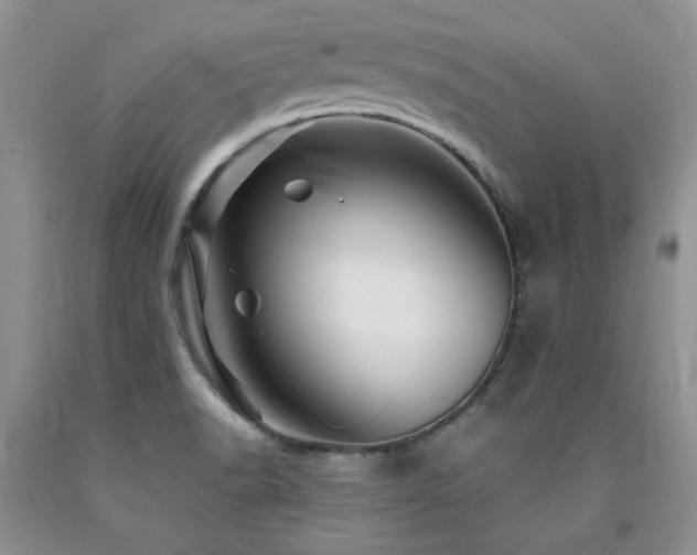 X0000090761518200707201453