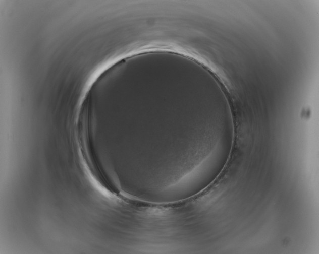 X0000090761519200707201453