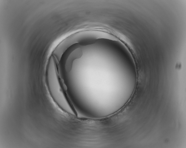 X0000090761520200707201453