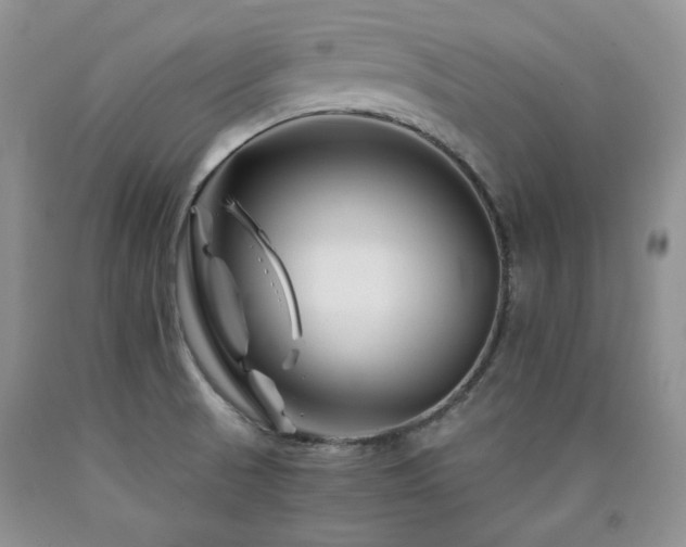 X0000090761521200707201453