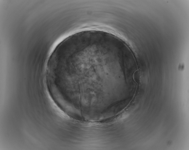 X0000090761522200707201453