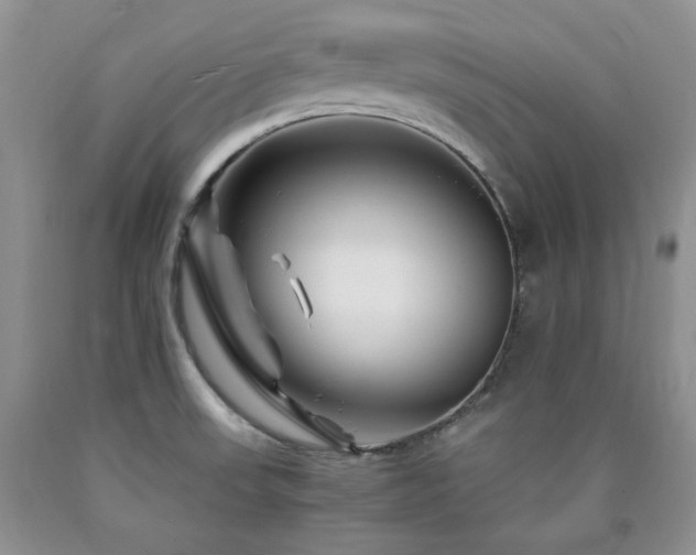 X0000090761523200707201453