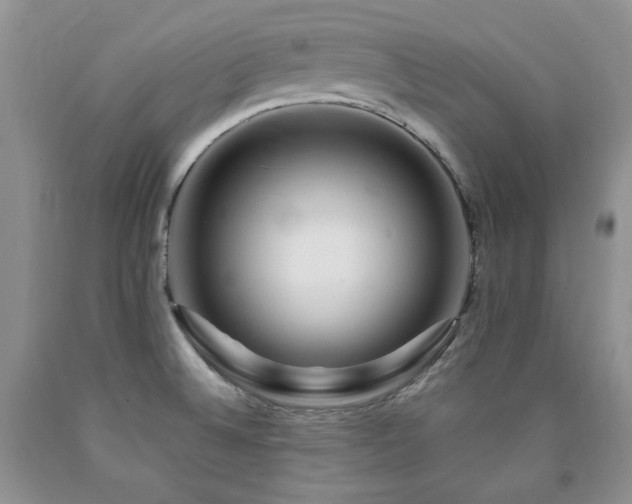 X0000090761524200707201453