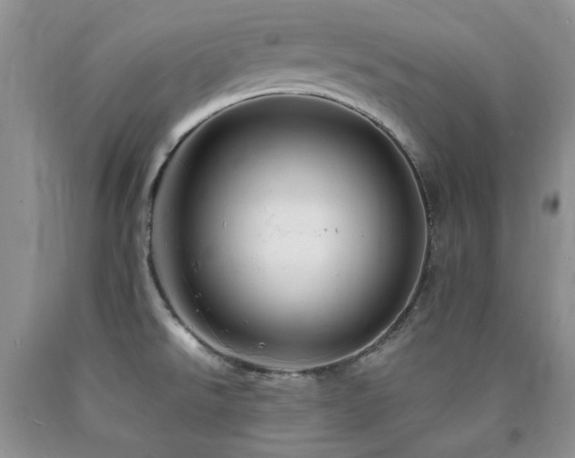 X0000090761526200707201453