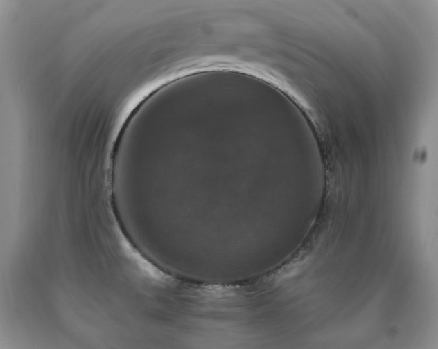 X0000090761527200707201453