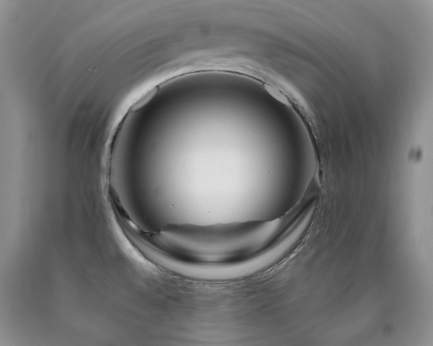 X0000090761528200707201453