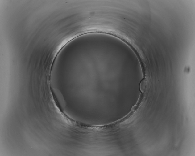 X0000090761529200707201453