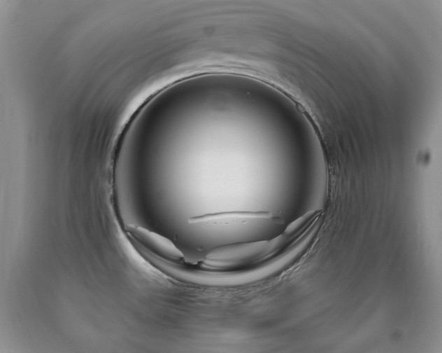 X0000090761531200707201453