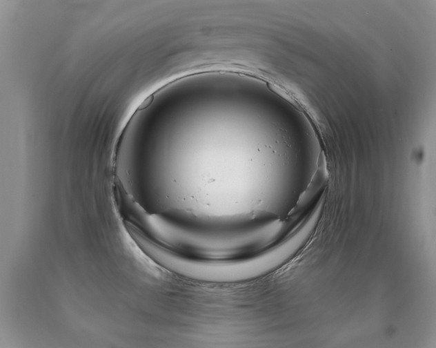 X0000090761532200707201453