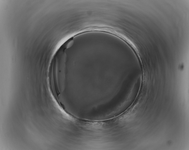 X0000090761533200707201453