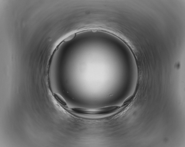 X0000090761534200707201453