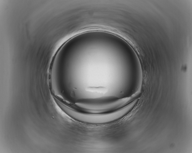 X0000090761535200707201453