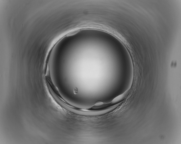 X0000090761536200707201453