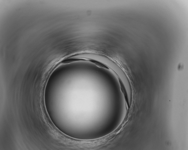 X0000090760001200707271516