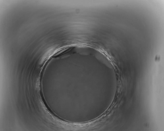 X0000090760002200707271516