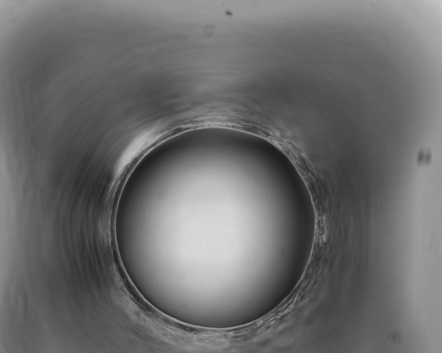 X0000090760004200707271516