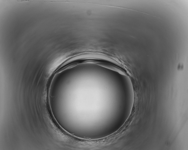 X0000090760005200707271516