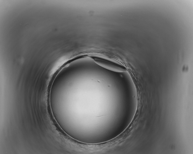 X0000090760006200707271516