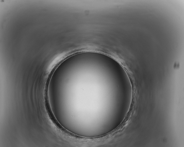 X0000090760007200707271516