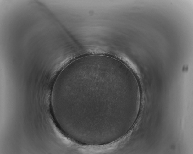 X0000090760009200707271516