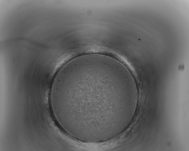 X0000090760010200707271516