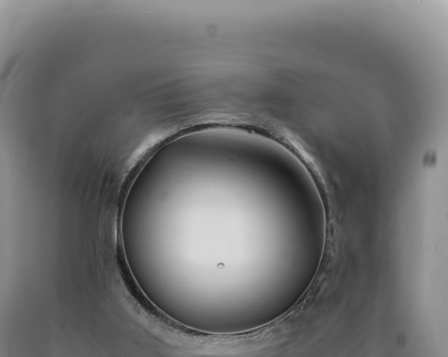 X0000090760011200707271515