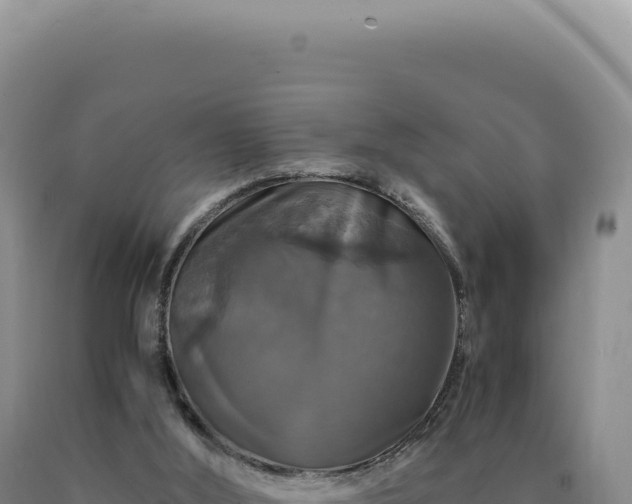 X0000090760012200707271515