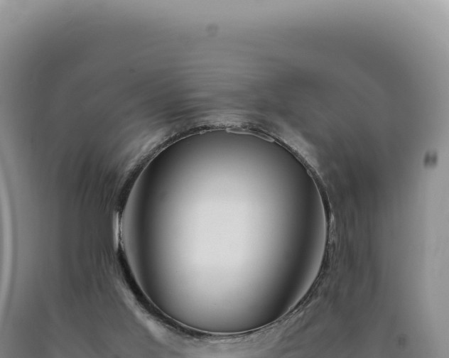 X0000090760013200707271515