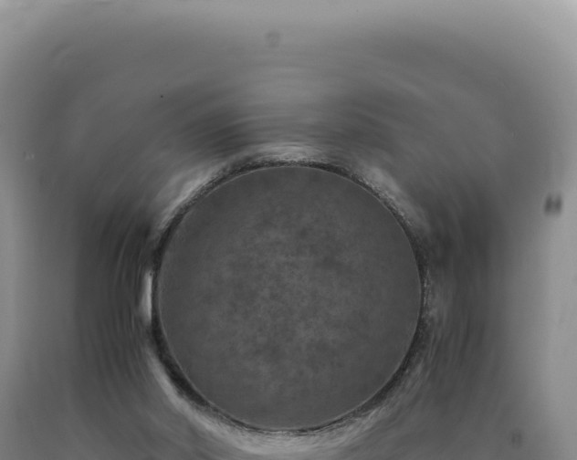 X0000090760014200707271515