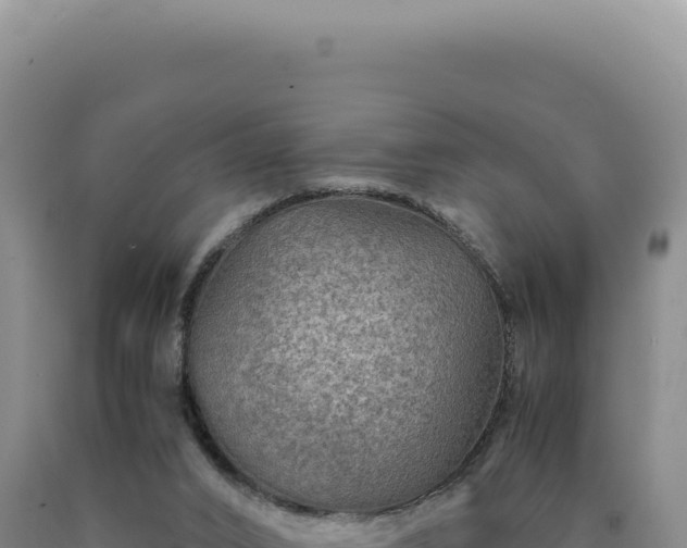 X0000090760016200707271515