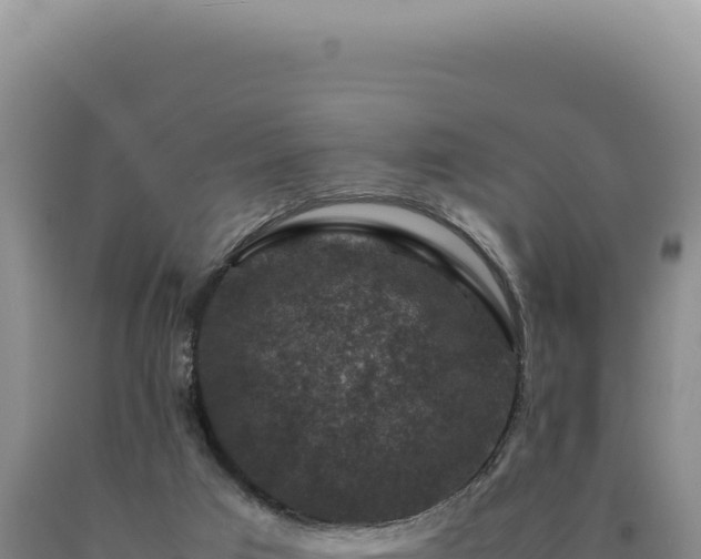 X0000090760017200707271515