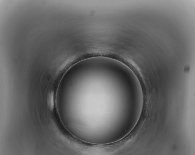 X0000090760020200707271515