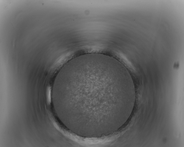 X0000090760022200707271515