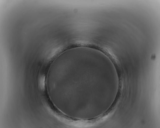 X0000090760024200707271515