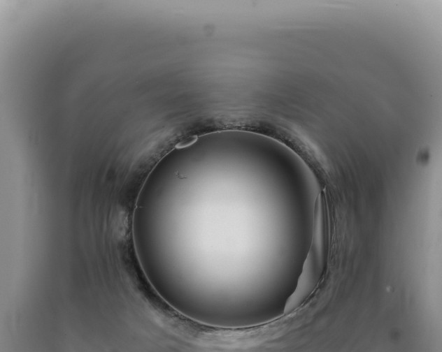 X0000090760025200707271515