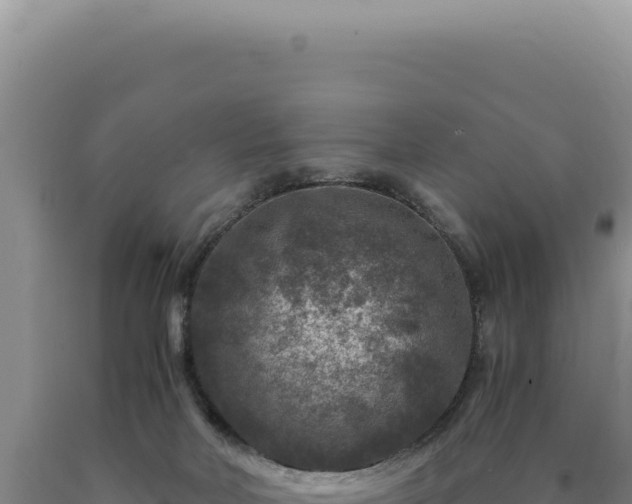 X0000090760026200707271515