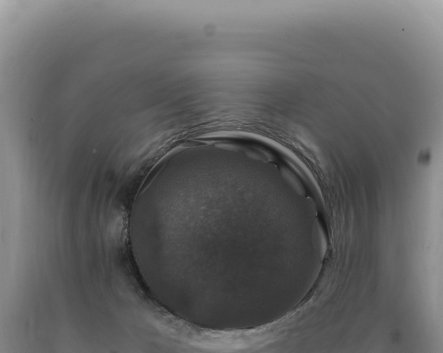 X0000090760029200707271515