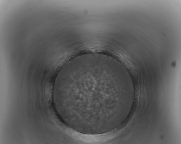 X0000090760030200707271515