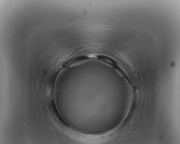 X0000090760031200707271515