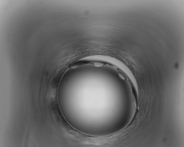 X0000090760033200707271515