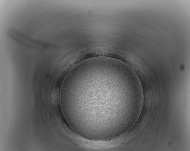 X0000090760034200707271515