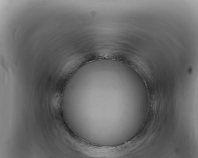 X0000090760036200707271515