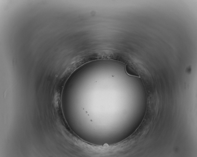 X0000090760038200707271515