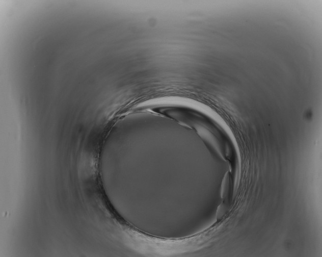 X0000090760039200707271515