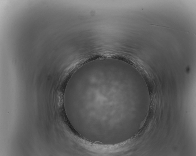 X0000090760043200707271515