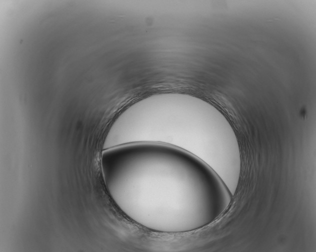 X0000090760045200707271515