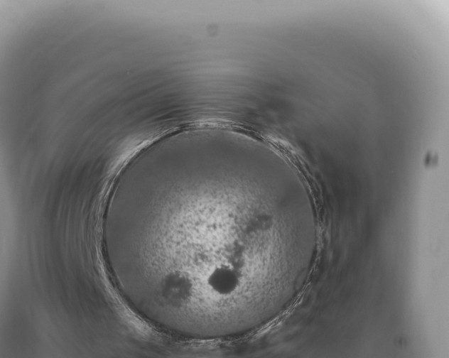 X0000090760049200707271514